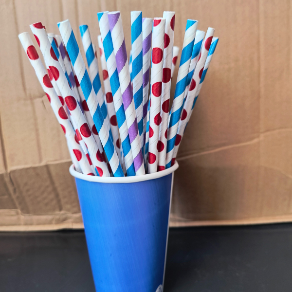 Hard Disposable Paper Straw (6mm) – Pack of 100 - Image 2